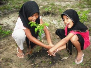 Organic Farming in Ban Talae Nok, Thailand