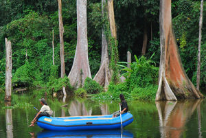 Jungle River Rafting