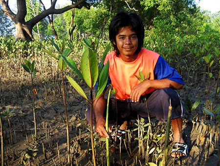 Tung Dap Mangrove Planting