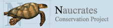 Naucrates Logo