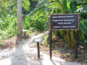 Koh Surin Chok Madah Trail