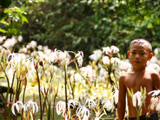 Nakha Water Lily Villager