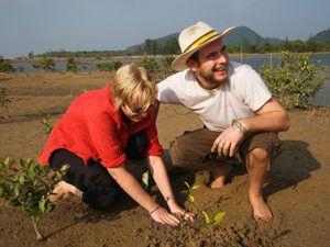 Long-Term Projects Mangrove Restoration