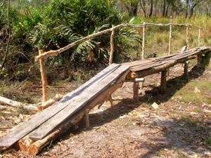 Long-Term Projects Nature Trails