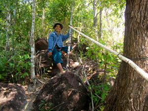 Long-Term Projects Nature Trails